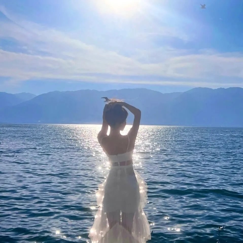 星河入梦海报